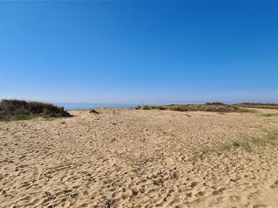 Picture 12